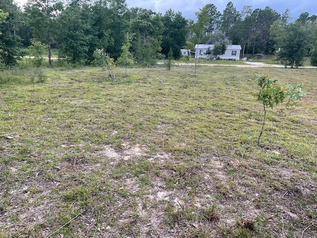 NE 135th Ct, Williston, FL 32696 - photo 1