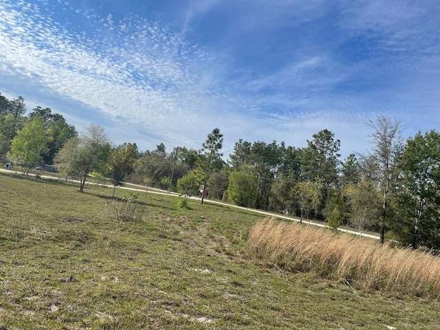 NE 135th Ct, Williston, FL 32696 - photo 2