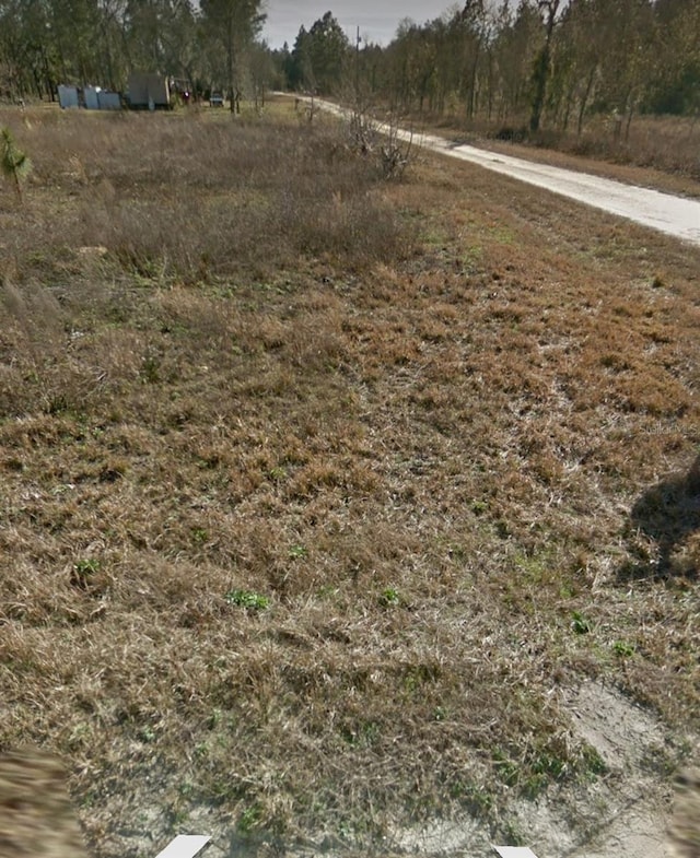 NE 135th Ct, Williston, FL 32696 - photo 10