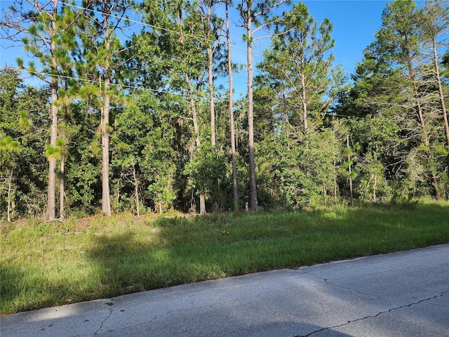 TBD SW 35th Ter, Ocala, FL 34473 - photo 1