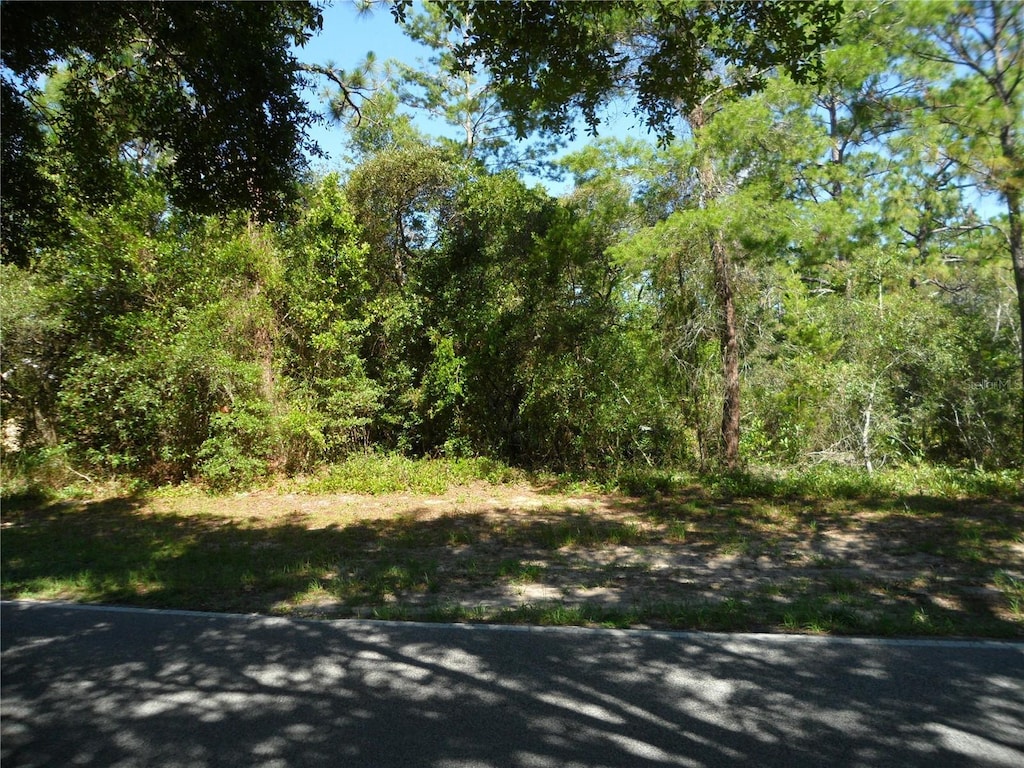 119 Oak Village Blvd, Homosassa, FL 34446 - photo 1