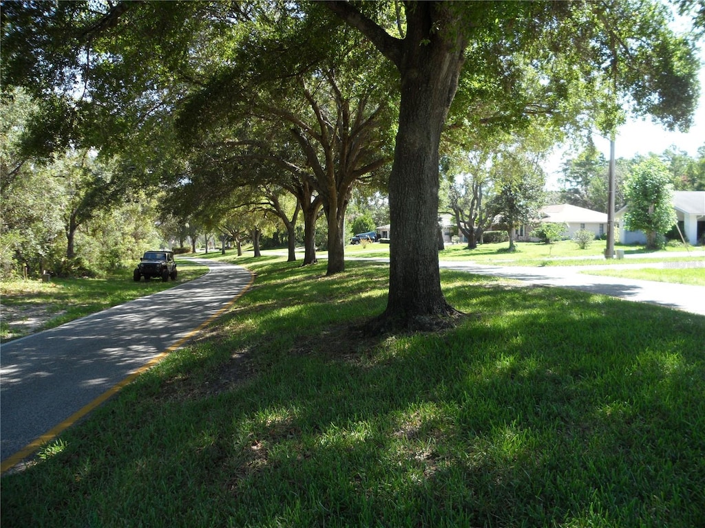 119 Oak Village Blvd, Homosassa, FL 34446 - photo 3