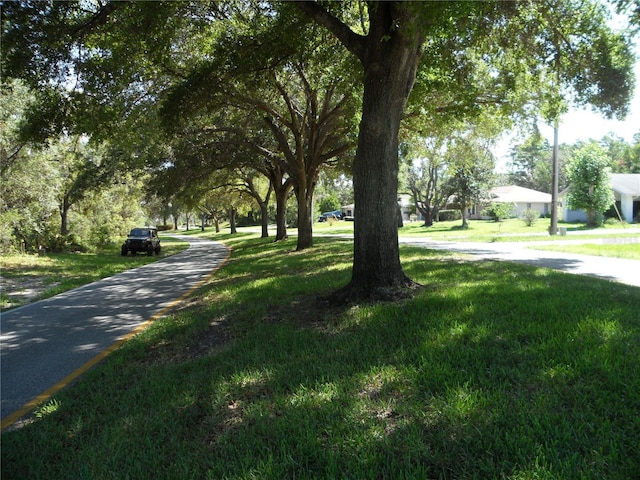 119 Oak Village Blvd, Homosassa, FL 34446 - photo 3