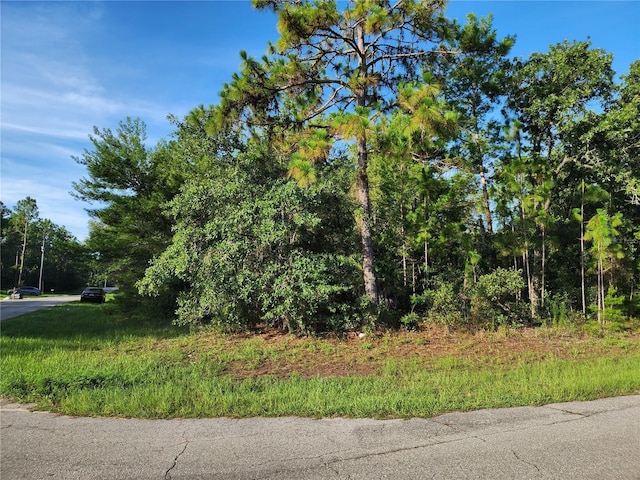 SW 149th Lane Rd, Lane, Ocala, FL 34473 - photo 1
