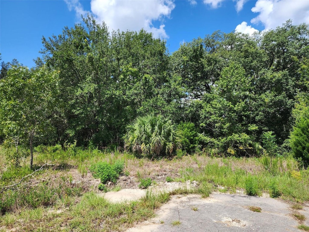 Guava Track Pass, Ocklawaha, FL 32179 - photo 1