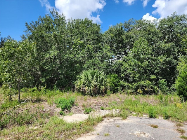 Guava Track Pass, Ocklawaha, FL 32179 - photo 1