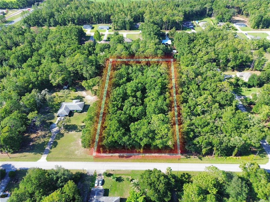 TBD SW 57th Pl, Dunnellon, FL 34432 - photo 3