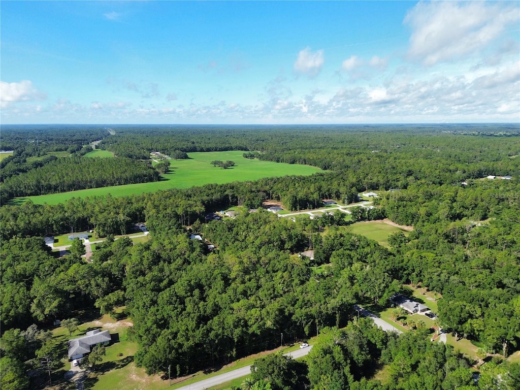 TBD SW 57th Pl, Dunnellon, FL 34432 - photo 2