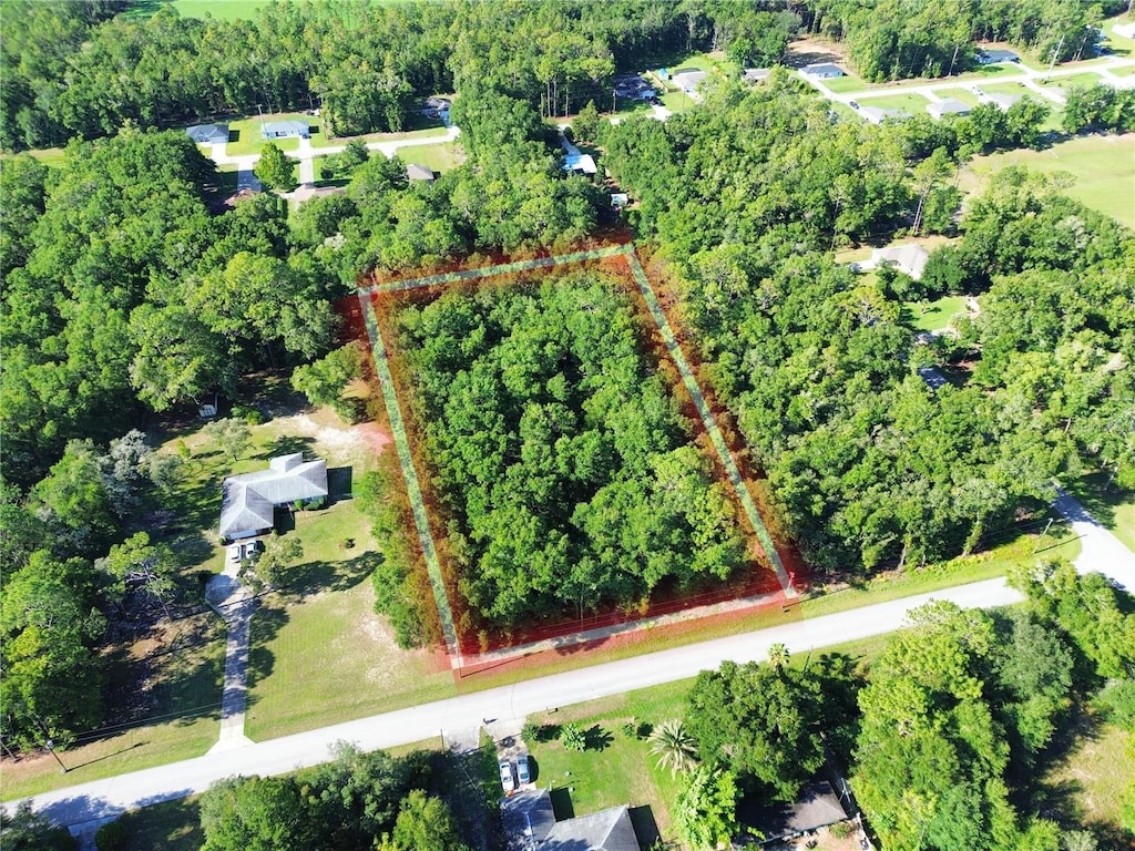 TBD SW 57th Pl, Dunnellon, FL 34432 - photo 1