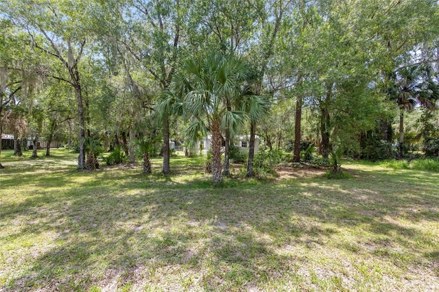 10220 W Pamondeho Cir, Crystal River, FL 34428 - photo 42