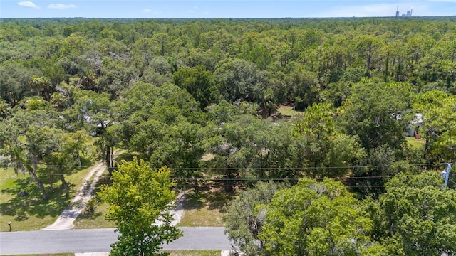 10220 W Pamondeho Cir, Crystal River, FL 34428 - photo 46