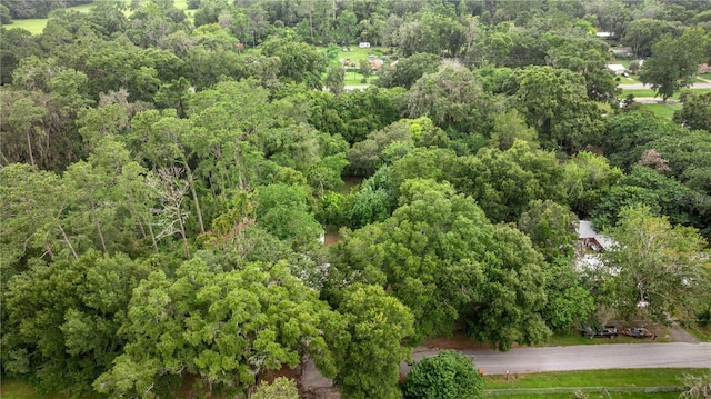 14750 NW 42nd Ct, Reddick, FL 32686 - photo 24