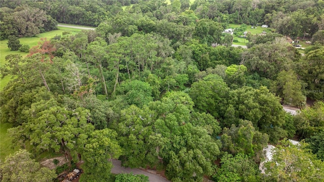 14750 NW 42nd Ct, Reddick, FL 32686 - photo 26