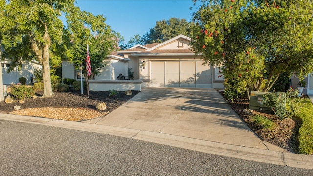 8033 SW 81st Loop, Ocala, FL 34476 - photo 4