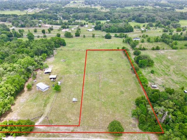 TBD SE 150th St, Summerfield, FL 34491 - photo 1