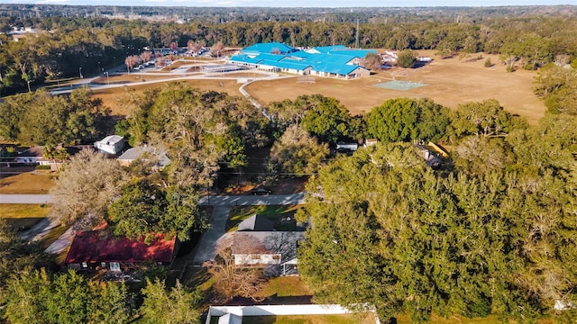 2249 SE 50th Ter, Ocala, FL 34480 - photo 8