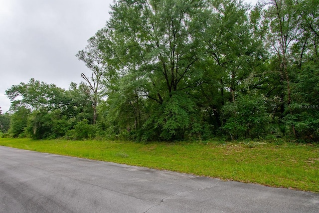 TBD SW 138th St, Ocala, FL 34473 - photo 4