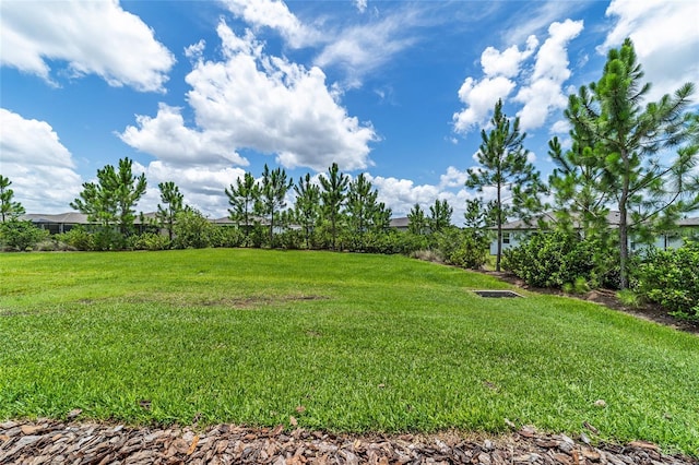 8978 SW 57th Place Rd, Ocala, FL 34481 - photo 54