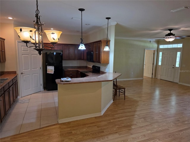 15651 NE 64th Pl, Williston, FL 32696 - photo 5