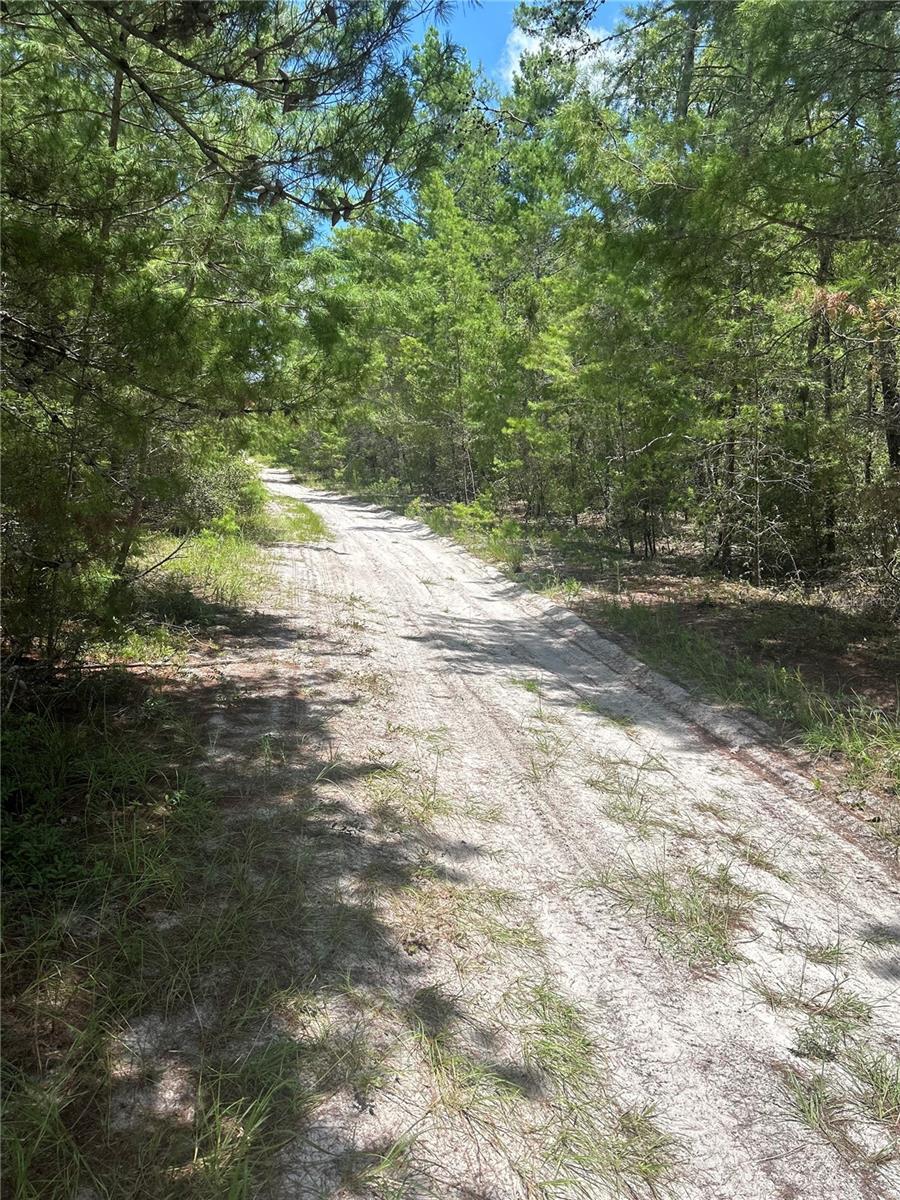 121 Pear St, Welaka, FL 32193 - photo 2