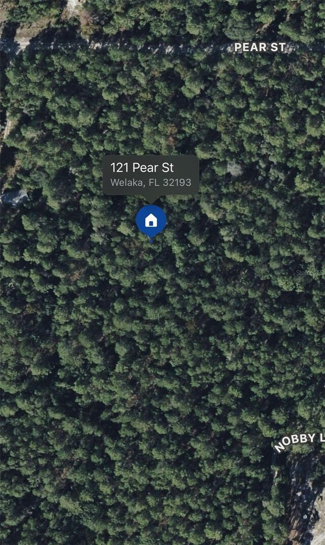 121 Pear St, Welaka, FL 32193 - photo 3