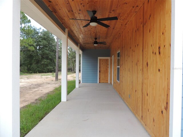 13431 NE 51st St, Williston, FL 32696 - photo 16