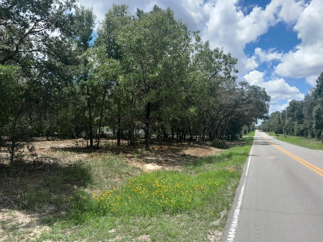 TBD NE 105th Ave, Bronson, FL 32621 - photo 1