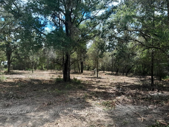 TBD NE 105th Ave, Bronson, FL 32621 - photo 2
