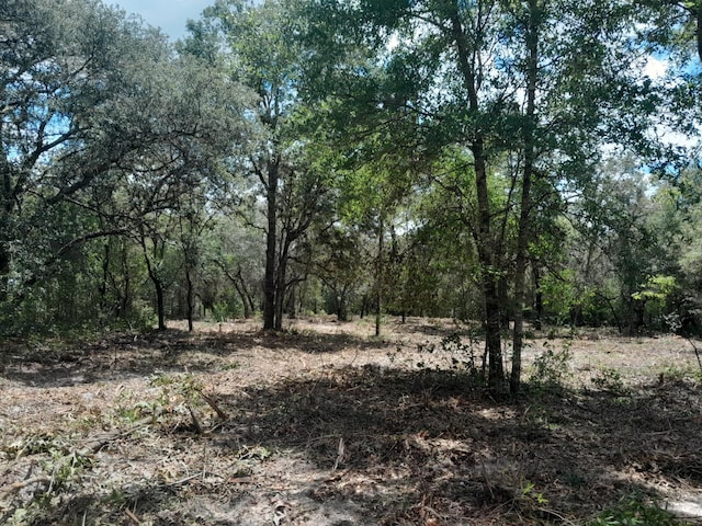 TBD NE 105th Ave, Bronson, FL 32621 - photo 3