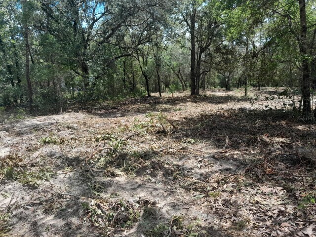 TBD NE 105th Ave, Bronson, FL 32621 - photo 4