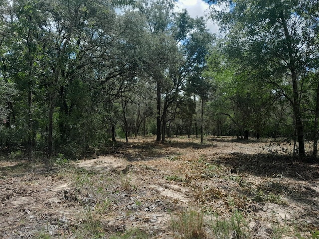 TBD NE 105th Ave, Bronson, FL 32621 - photo 5