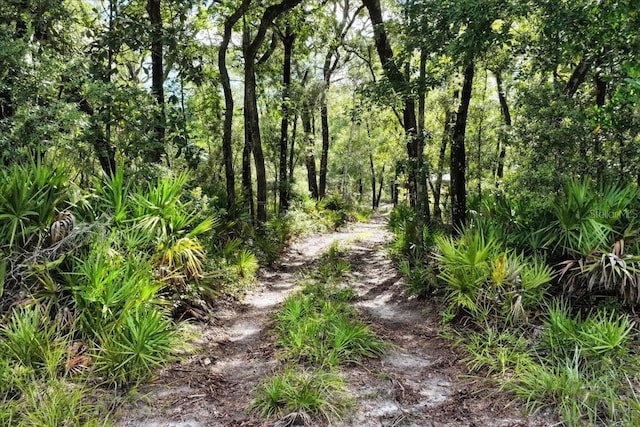 0000 SW County Road 347, Chiefland, FL 32626 - photo 1