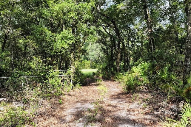0000 SW County Road 347, Chiefland, FL 32626 - photo 2