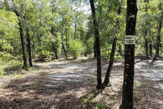 0000 SW County Road 347, Chiefland, FL 32626 - photo 5