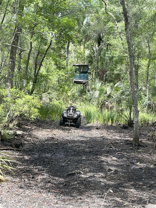0000 SW County Road 347, Chiefland, FL 32626 - photo 7