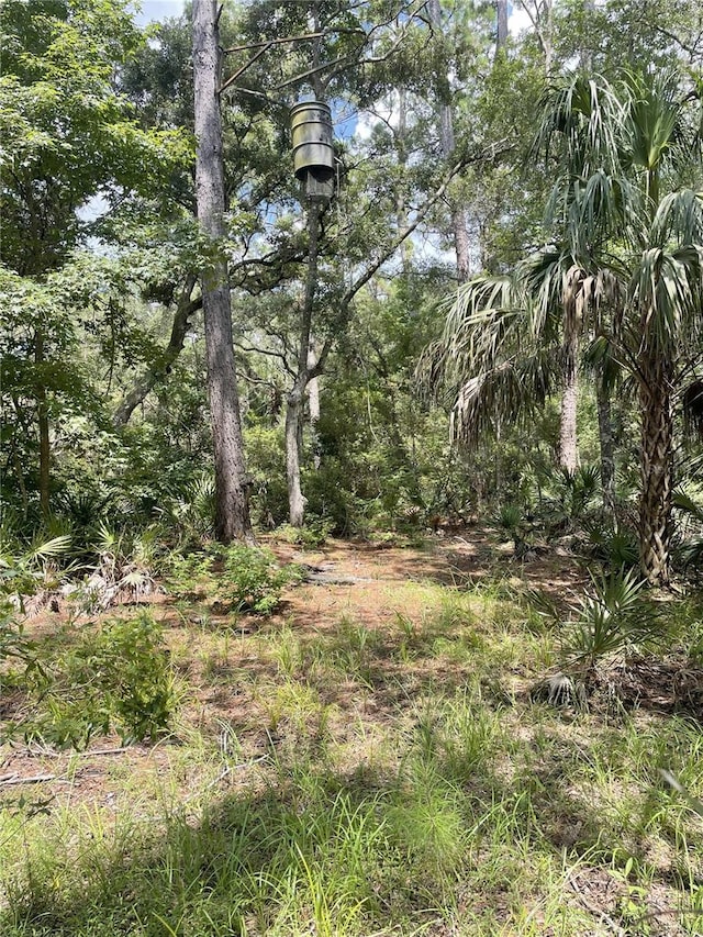 0000 SW County Road 347, Chiefland, FL 32626 - photo 8