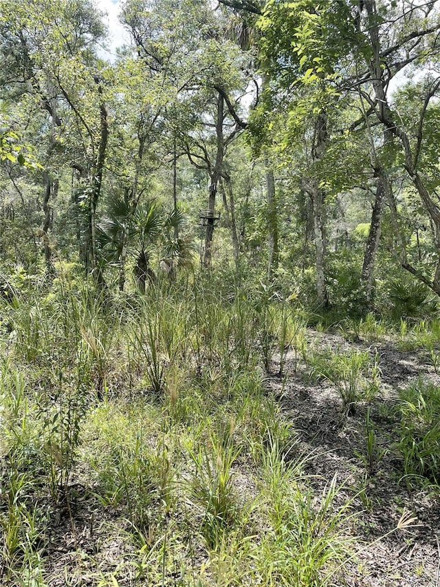 0000 SW County Road 347, Chiefland, FL 32626 - photo 9