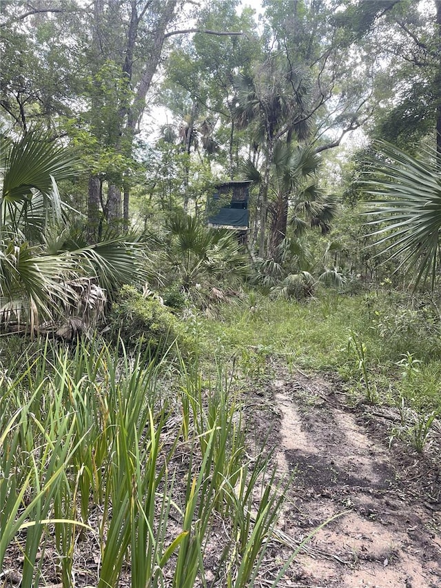 0000 SW County Road 347, Chiefland, FL 32626 - photo 10