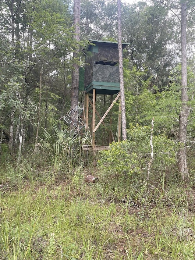 0000 SW County Road 347, Chiefland, FL 32626 - photo 12