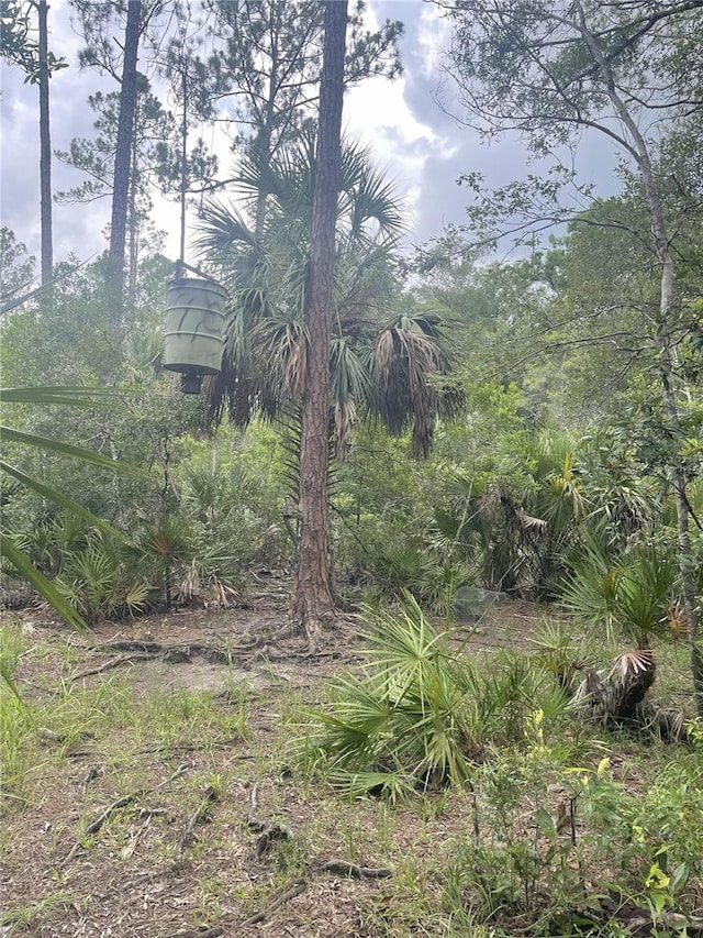 0000 SW County Road 347, Chiefland, FL 32626 - photo 14
