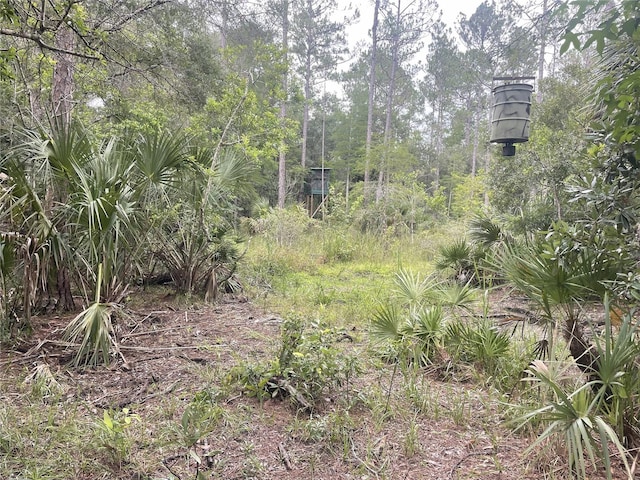 0000 SW County Road 347, Chiefland, FL 32626 - photo 15