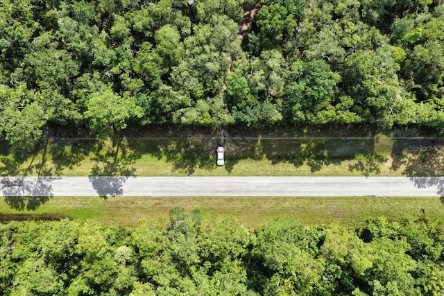 0000 SW County Road 347, Chiefland, FL 32626 - photo 16
