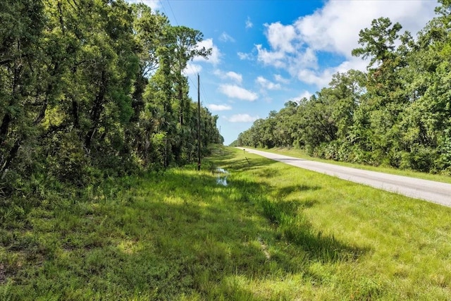 0000 SW County Road 347, Chiefland, FL 32626 - photo 17