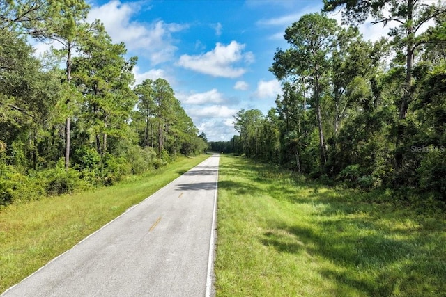 0000 SW County Road 347, Chiefland, FL 32626 - photo 18
