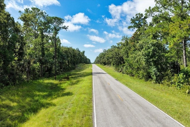 0000 SW County Road 347, Chiefland, FL 32626 - photo 19