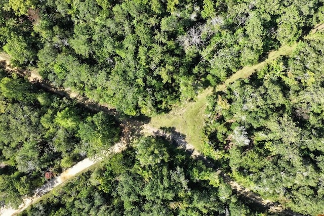 0000 SW County Road 347, Chiefland, FL 32626 - photo 20