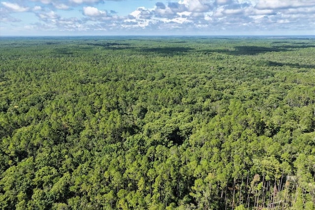 0000 SW County Road 347, Chiefland, FL 32626 - photo 21