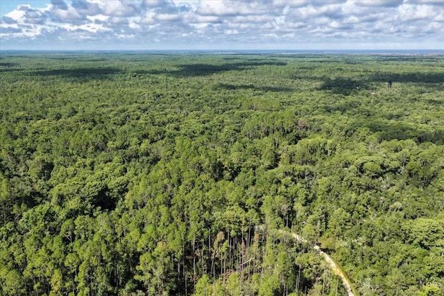 0000 SW County Road 347, Chiefland, FL 32626 - photo 22