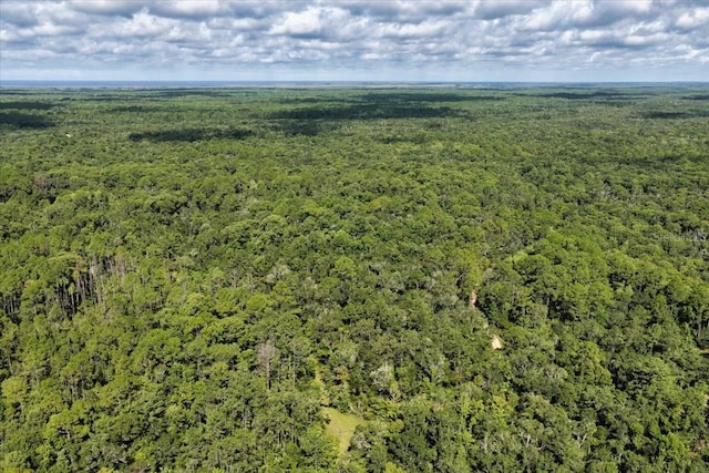 0000 SW County Road 347, Chiefland, FL 32626 - photo 23