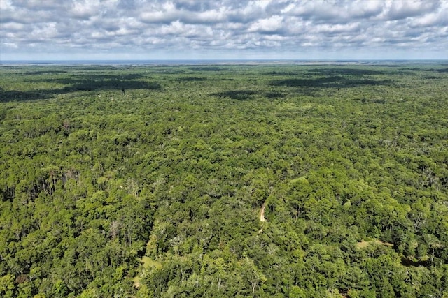 0000 SW County Road 347, Chiefland, FL 32626 - photo 24